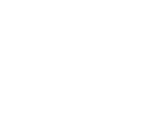 DVSTUDIO-DEV - WP Logo - White